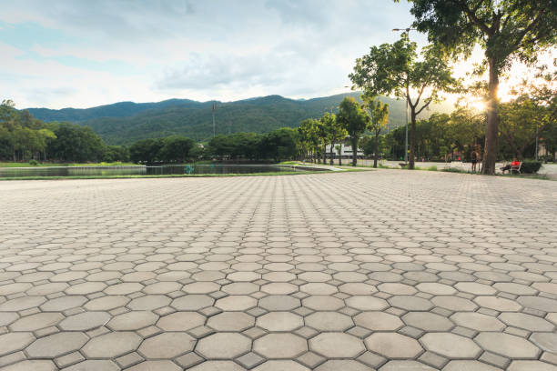 Best Custom Driveway Pavers  in Goodlettsville, TN